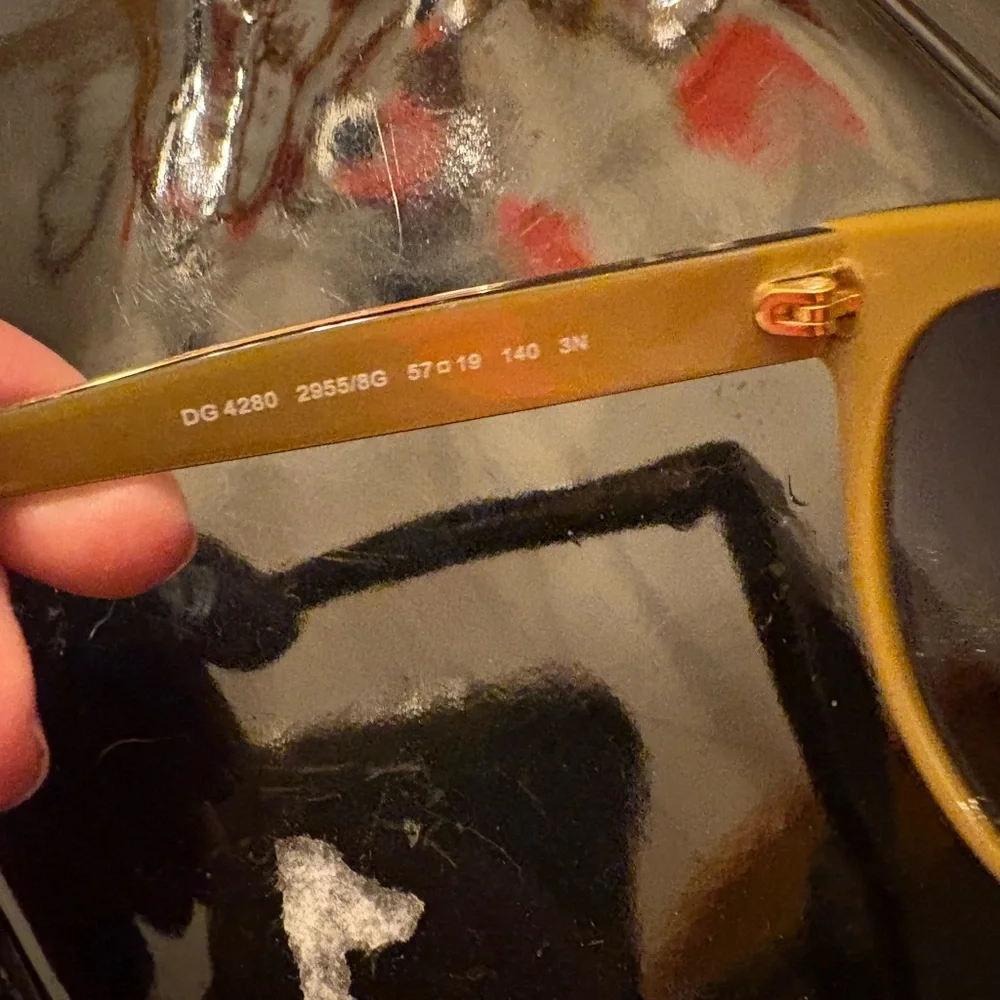 Dolce & Gabbana Sunglasses